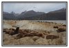 20/DSC_0272 kim site.jpg